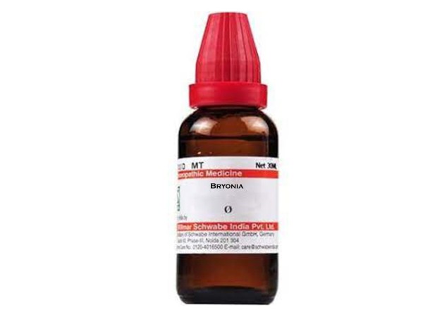 Bryonia